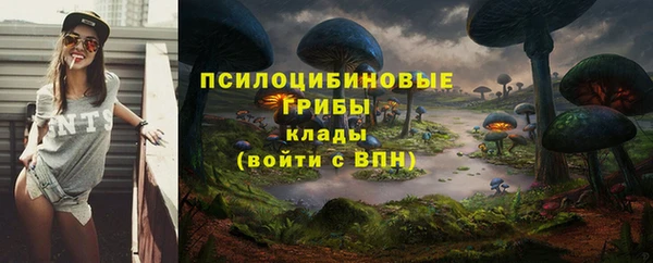 a pvp Пересвет